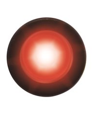 GG81255 - RED 1-LED SNAKE LED LIGHT W/ HARD WIRED LEAD GG81255 - RED 1-LED SNAKE LED LIGHT W/ HARD WIRED LEAD