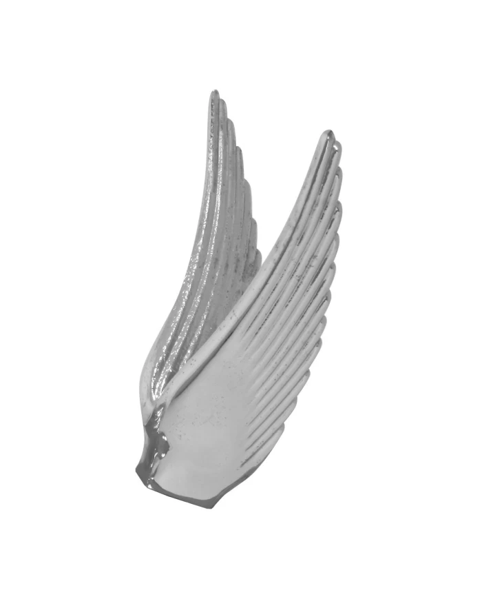 CR. WING FOR FLYING GODDESS CR. WING FOR FLYING GODDESS