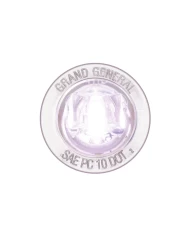 1-1/4" WHITE/CLEAR 1LED INTER. LIGHT W/SCREW NUT, 3WIRES 1-1/4" WHITE/CLEAR 1LED INTER. LIGHT W/SCREW NUT, 3WIRES