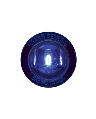 1-1/4" BLUE/BLUE 1LED INTERIOR LIGHT W/SCREW NUT, 3WIRES 1-1/4" BLUE/BLUE 1LED INTERIOR LIGHT W/SCREW NUT, 3WIRES