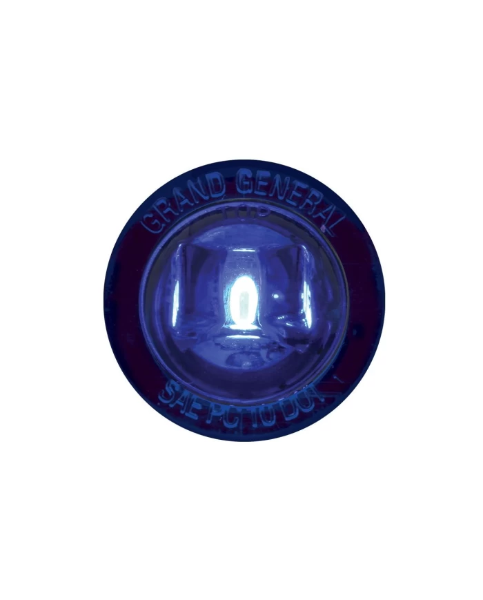 1-1/4" BLUE/BLUE 1LED INTERIOR LIGHT W/SCREW NUT, 3WIRES