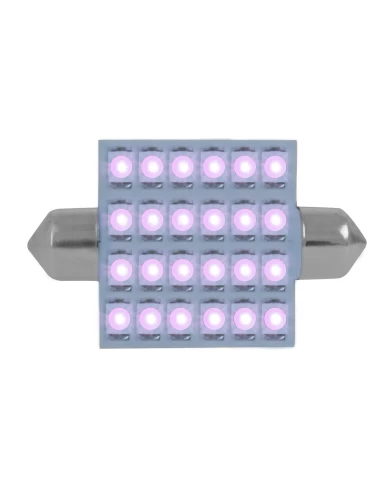 GG76115 - 211-2 PURPLE 24-LED FESTOON DOME LIGHT BULBS, 12V GG76115 - 211-2 PURPLE 24-LED FESTOON DOME LIGHT BULBS, 12V