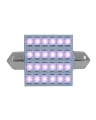 GG76115 - 211-2 PURPLE 24-LED FESTOON DOME LIGHT BULBS, 12V