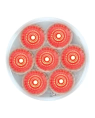 GG76628 - 2" LOW PROFILE SPYDER RED/ CLEAR 7 LED DUAL/3WIRES LIGHT