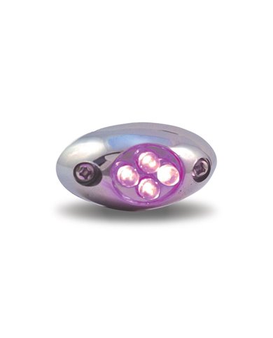 Purple Courtesy LED (4 Diodes) Purple Courtesy LED (4 Diodes)