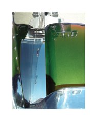 Peterbilt 379 Front Inner Fender Trim Peterbilt 379 Front Inner Fender Trim