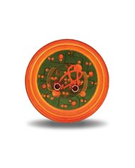 2 1/2" Round Amber LED (13 Diodes) 2 1/2" Round Amber LED (13 Diodes)