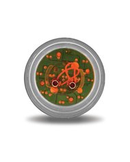 2 1/2" Round Clear Ribbed Amber LED (13 Diodes)" 2 1/2" Round Clear Ribbed Amber LED (13 Diodes)"