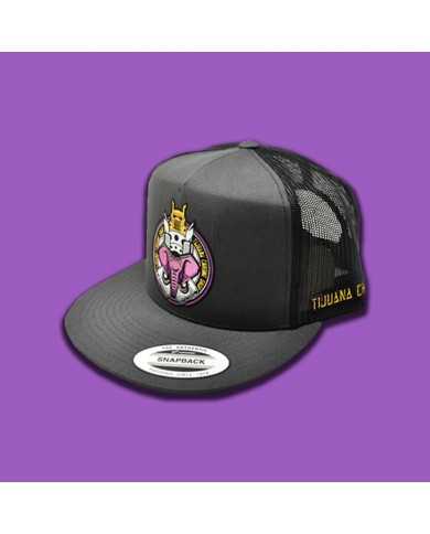 TCSGORRA DE PARCHE PLANCHADO GRIS OSCURO-01 TCSGORRA DE PARCHE PLANCHADO GRIS OSCURO-01