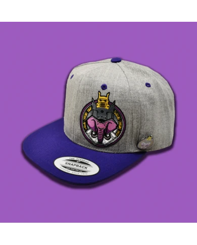 TCS-GORRA DE PARCHE PLANCHADO GRIS / MORADO TCS-GM03 TCS-GORRA DE PARCHE PLANCHADO GRIS / MORADO TCS-GM03