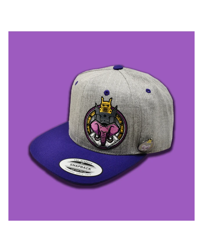 TCS-GORRA DE PARCHE PLANCHADO GRIS / MORADO TCS-GM03 TCS-GORRA DE PARCHE PLANCHADO GRIS / MORADO TCS-GM03