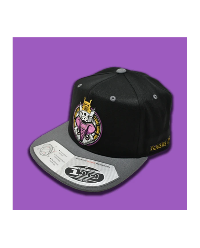 TCS-GORRA DE PARCHE PLANCHADO BLACK/GREY-TCS05