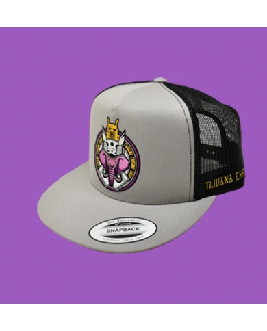 TCS GORRA SILVER PARCHE PLANCHADO METALICA 105 TCS GORRA SILVER PARCHE PLANCHADO METALICA 105