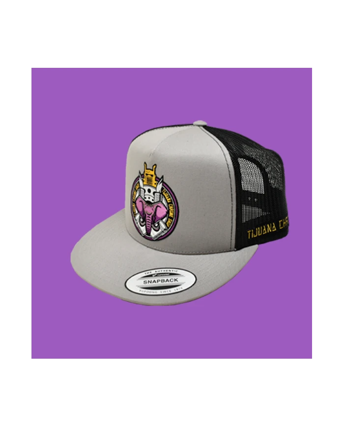 TCS GORRA SILVER PARCHE PLANCHADO METALICA 105 TCS GORRA SILVER PARCHE PLANCHADO METALICA 105