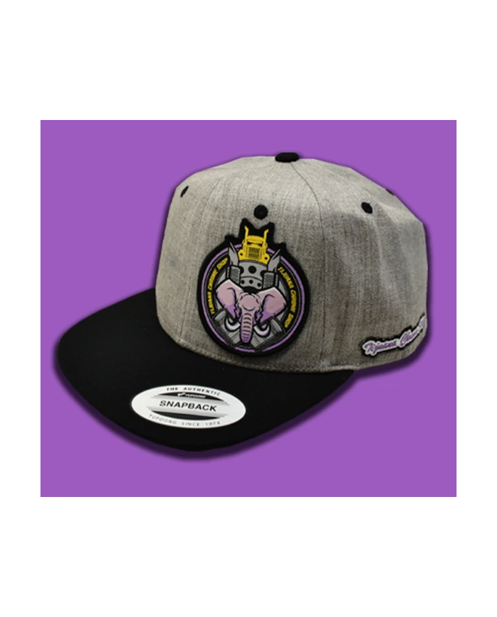 TCS-GORRA GRIS CLARO PARCHE PLANCHADO DE TELA -TCS116 TCS-GORRA GRIS CLARO PARCHE PLANCHADO DE TELA -TCS116