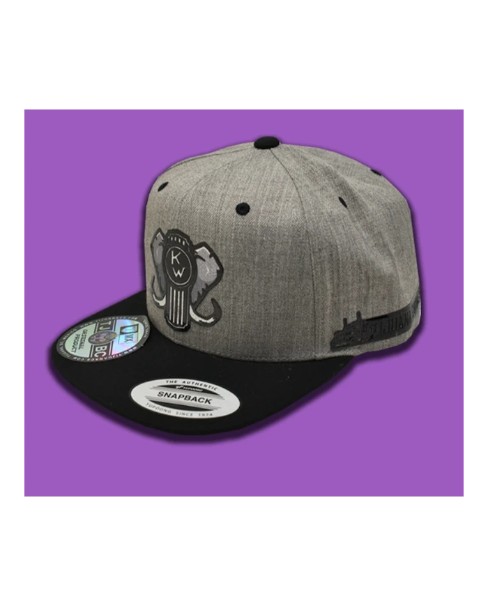 TCS-GORRA DE PARCHE PLANCHADO KENWORTH87 TCS-GORRA DE PARCHE PLANCHADO KENWORTH87