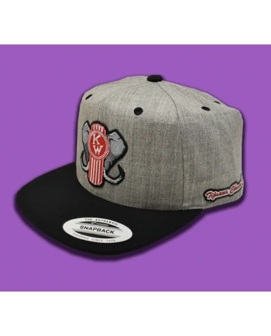 TCS-GORRA GRIS CLARO PARCHE PLANCHADO BORDADO - KW 27 TCS-GORRA GRIS CLARO PARCHE PLANCHADO BORDADO - KW 27