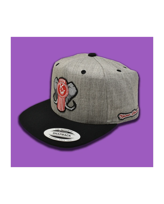 TCS-GORRA GRIS CLARO PARCHE PLANCHADO BORDADO - KW 27 TCS-GORRA GRIS CLARO PARCHE PLANCHADO BORDADO - KW 27