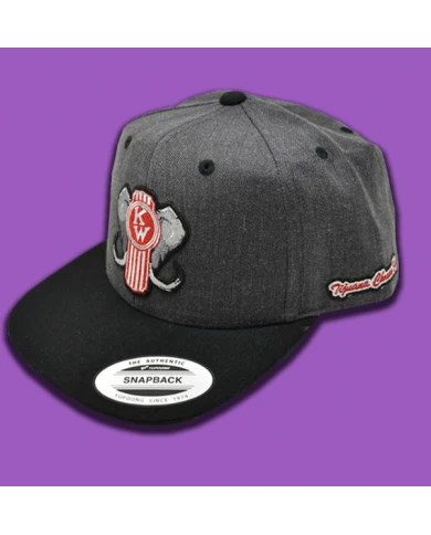 TCS-GORRA GRIS OSCURO PARCHE PLANCHADO BORDADO KW TCS-GORRA GRIS OSCURO PARCHE PLANCHADO BORDADO KW
