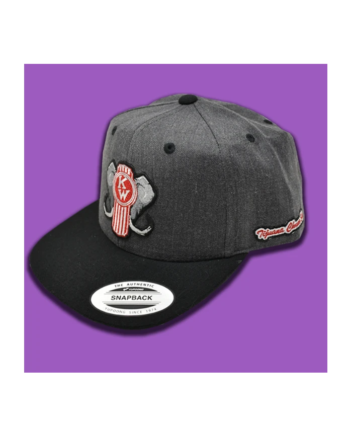 TCS-GORRA GRIS OSCURO PARCHE PLANCHADO BORDADO KW TCS-GORRA GRIS OSCURO PARCHE PLANCHADO BORDADO KW