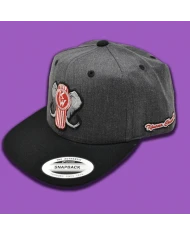 TCS-GORRA GRIS OSCURO PARCHE PLANCHADO BORDADO KW TCS-GORRA GRIS OSCURO PARCHE PLANCHADO BORDADO KW