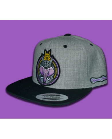 TCS-GORRA GRIS CLARO PARCHE PLANCHADO TELA -TCS162 TCS-GORRA GRIS CLARO PARCHE PLANCHADO TELA -TCS162