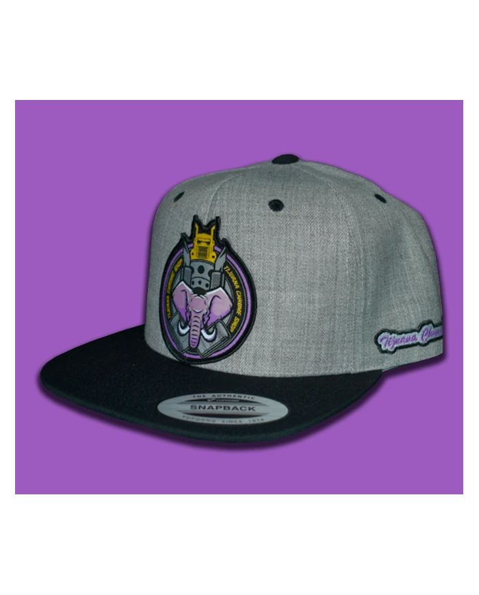 TCS-GORRA GRIS CLARO PARCHE PLANCHADO TELA -TCS162 TCS-GORRA GRIS CLARO PARCHE PLANCHADO TELA -TCS162