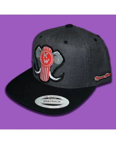 TCS-GORRA GRIS OSCURO PARCHE DE TELA -KW154 TCS-GORRA GRIS OSCURO PARCHE DE TELA -KW154