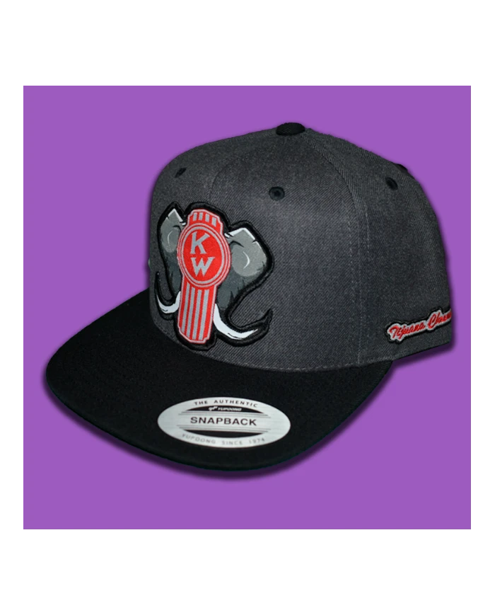 TCS-GORRA GRIS OSCURO PARCHE DE TELA -KW154 TCS-GORRA GRIS OSCURO PARCHE DE TELA -KW154