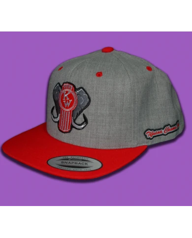 TCS-GORRA PARCHE BORDADO GREY/ RED-KW131 TCS-GORRA PARCHE BORDADO GREY/ RED-KW131