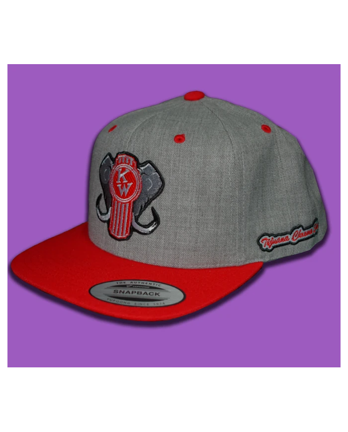 TCS-GORRA PARCHE BORDADO GREY/ RED-KW131 TCS-GORRA PARCHE BORDADO GREY/ RED-KW131