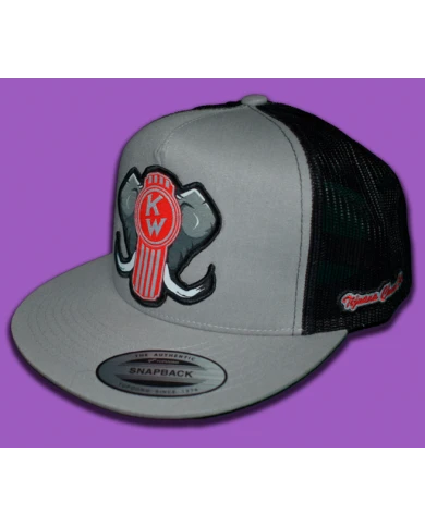 TCS GORRA SILVER PARCHE PLANCHADO DE TELA -KW152 TCS GORRA SILVER PARCHE PLANCHADO DE TELA -KW152