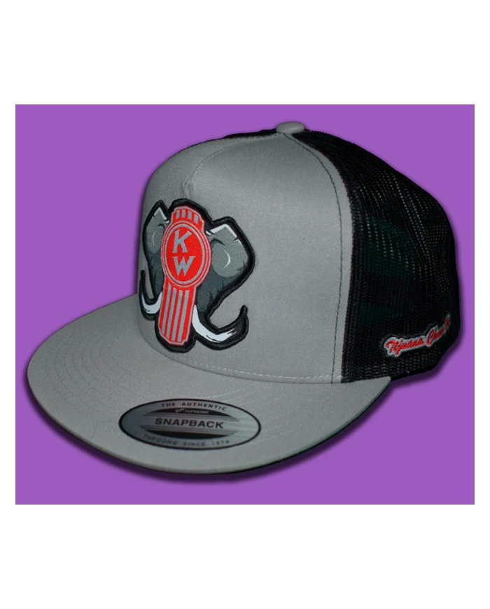 TCS GORRA SILVER PARCHE PLANCHADO DE TELA -KW152