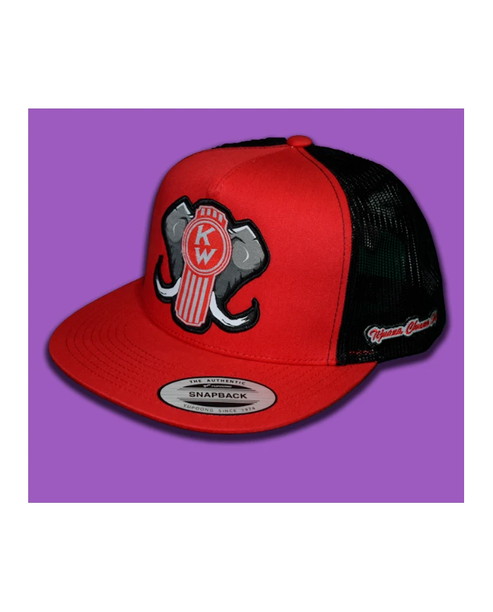 TCS-GORRA RED/BLACK PARCHE PLANCHADO TELA -KW134 TCS-GORRA RED/BLACK PARCHE PLANCHADO TELA -KW134