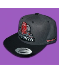 TCS-GORRA GRIS OSCURO PARCHE DE TELA -KW154 TCS-GORRA GRIS OSCURO PARCHE DE TELA -KW154