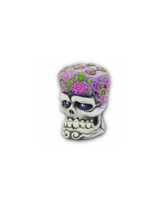 Sugar Shifty - Pink Green Purple