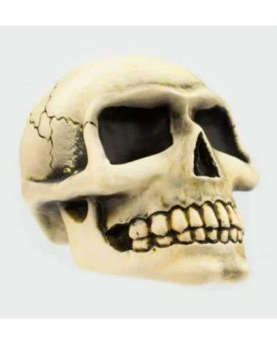 Small Skull - White Small Skull - White