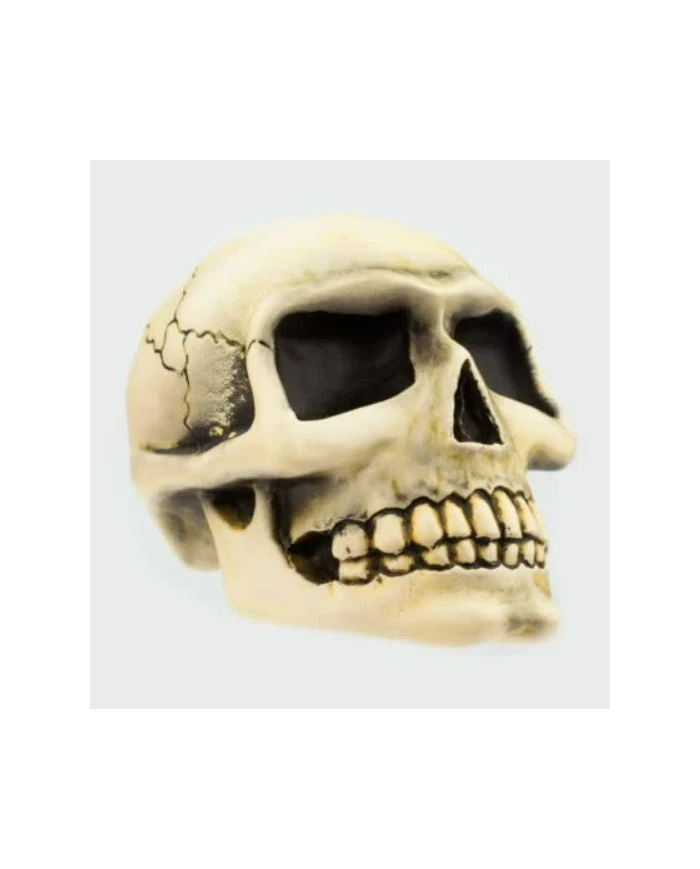 Small Skull - White Small Skull - White