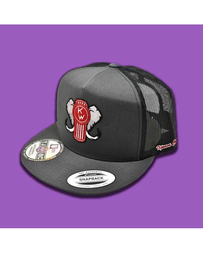 TCS-GORRA GRIS OSCURO - KW 18 TCS-GORRA GRIS OSCURO - KW 18