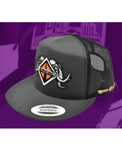 TCS-GORRA DE PARCHE PLANCHADO GRIS OSCURO -INT57 TCS-GORRA DE PARCHE PLANCHADO GRIS OSCURO -INT57