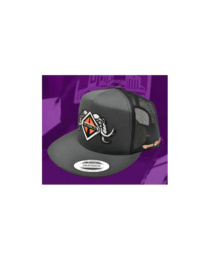 TCS-GORRA DE PARCHE PLANCHADO GRIS OSCURO -INT57