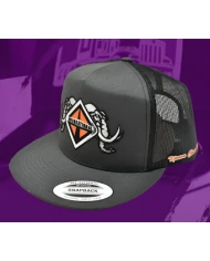 TCS-GORRA GRIS CLARO PARCHE PLANCHADO BORDADO - INT55 TCS-GORRA GRIS CLARO PARCHE PLANCHADO BORDADO - INT55