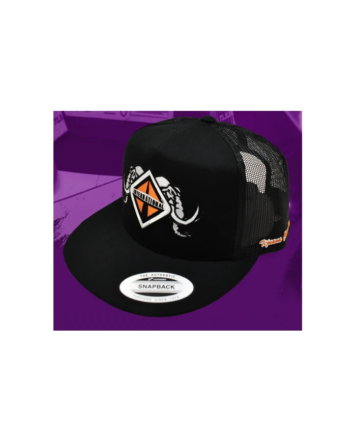 TCS-GORRA BLACK PARCHE PLANCHADO-INT52