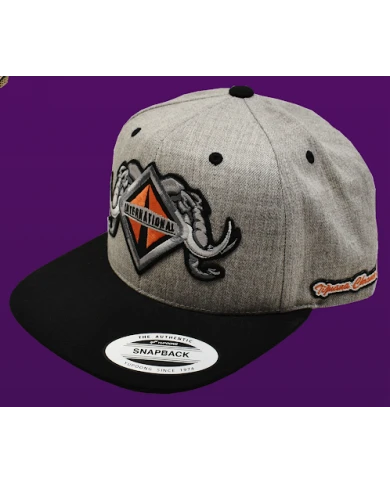 TCS-GORRA GRIS CLARO PARCHE PLANCHADO BORDADO - INT55 TCS-GORRA GRIS CLARO PARCHE PLANCHADO BORDADO - INT55