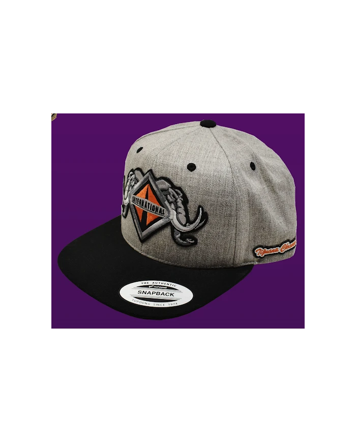 TCS-GORRA GRIS CLARO PARCHE PLANCHADO BORDADO - INT55 TCS-GORRA GRIS CLARO PARCHE PLANCHADO BORDADO - INT55