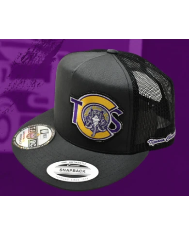 TCS-GORRA GRIS OSCURO PARCHE PLANCHADO BORDADO TCS TCS-GORRA GRIS OSCURO PARCHE PLANCHADO BORDADO TCS
