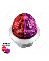 UP39238 - 4 LED Mini Watermelon Double Fury Light With Clear Lens (Clearance/Marker) - Red & Purple LED
