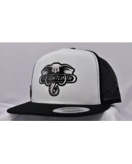 TCS - Gorra Silver parche planchado black 111 TCS - Gorra Silver parche planchado black 111