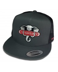 TCS-GORRA DE PARCHE PLANCHADO GRAY/BLACK-Fl 51 TCS-GORRA DE PARCHE PLANCHADO GRAY/BLACK-Fl 51