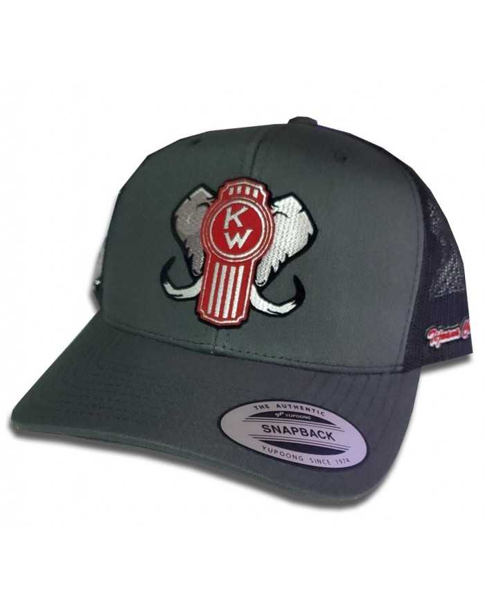 TCS-GORRA GRIS OSCURO - KW 33 TCS-GORRA GRIS OSCURO - KW 33